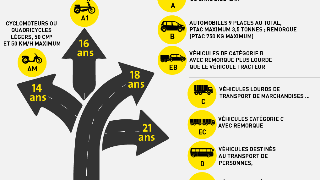 Dispositif du permis