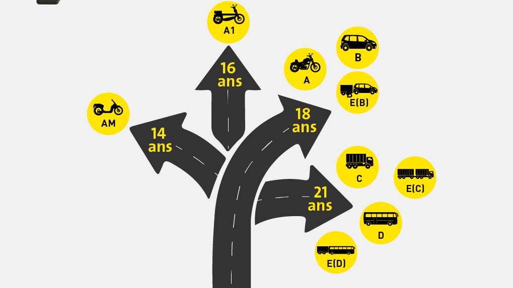 Dispositif permis de conduire